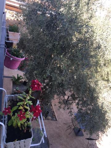 Bella Casetta Guest House Famagusta  Eksteriør billede